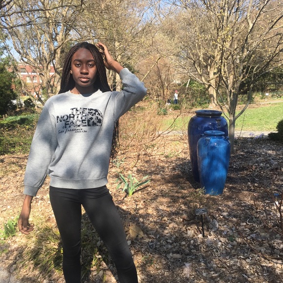 North Face Gray Pullover Logo Sweatshirt - Picture 1 of 8